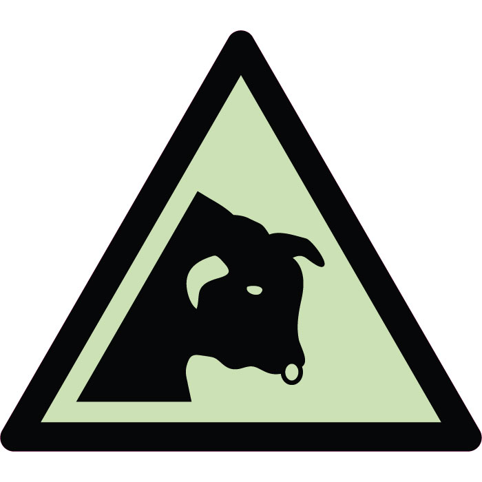 Panneau de danger taureau photoluminescent