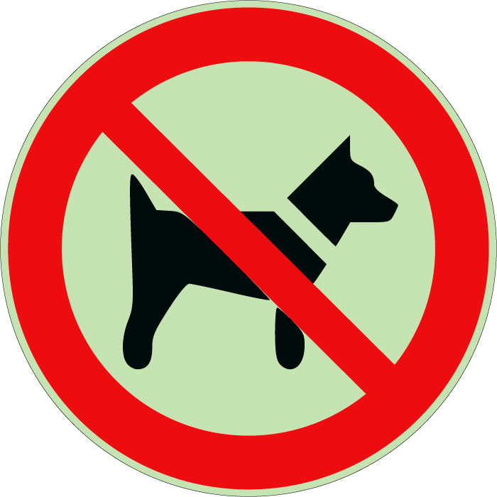 Panneau interdit aux chiens photoluminescent