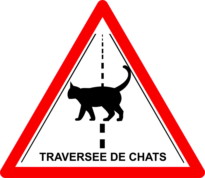  Pictogramme Attention traversée de chats