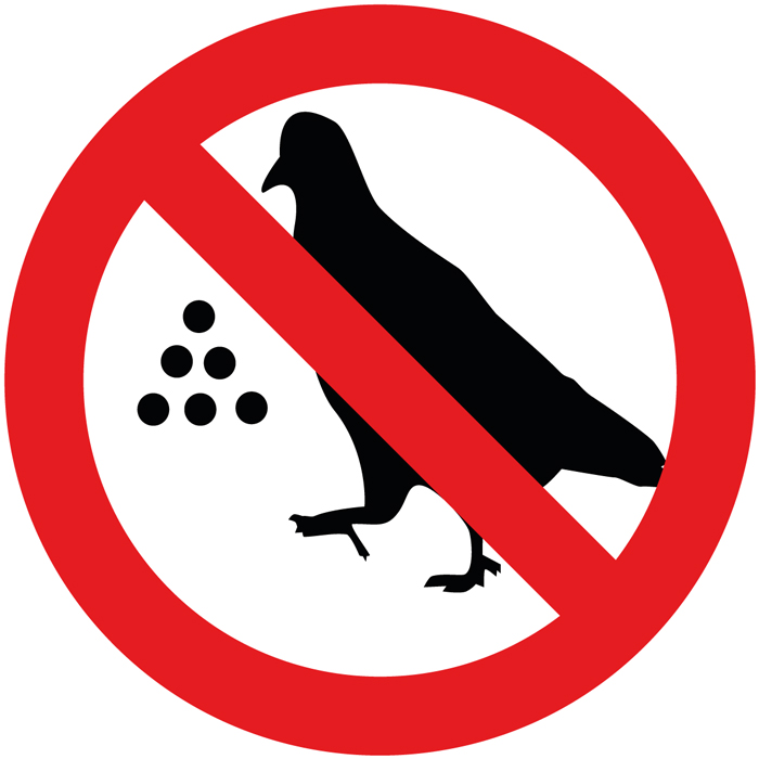 Pictogramme Interdiction de nourrir les oiseaux