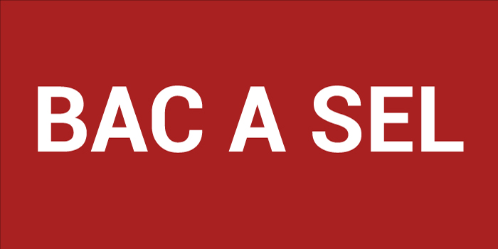 Pictogramme BAC À SEL
