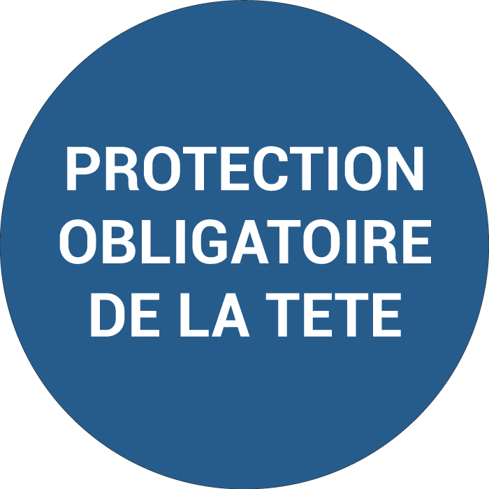 Pictogramme PROTECTION OBLIGATOIRE DE LA TÊTE
