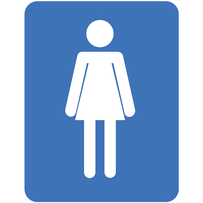 Panneau  toilette femme bleu