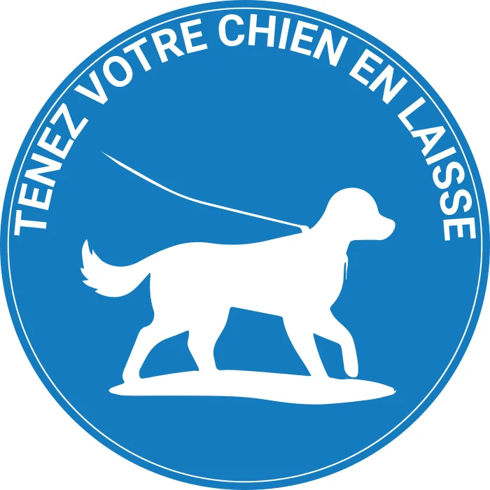 les Chiens doivent être tenus en laisse