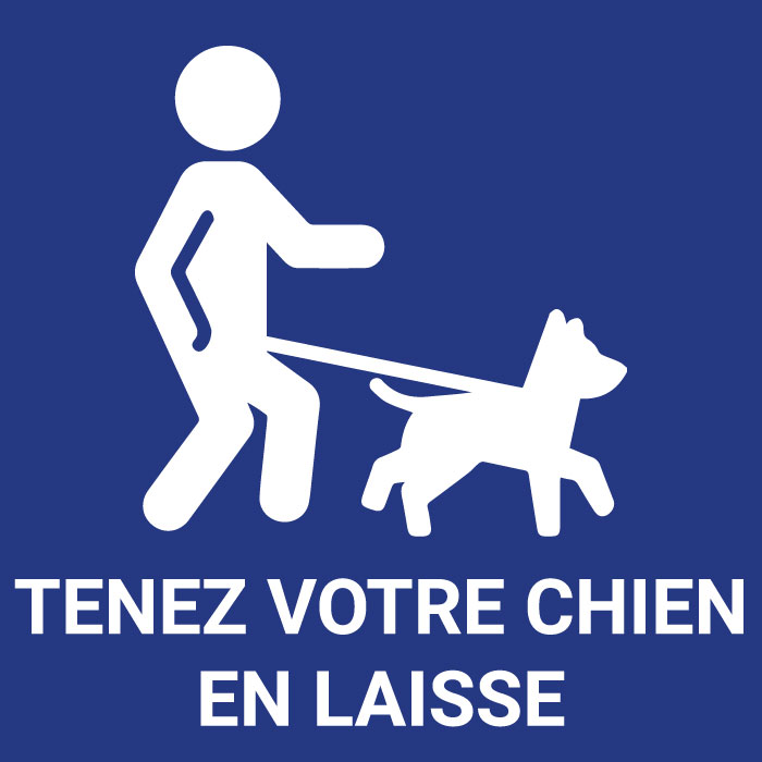 Pictogramme Tenez votre chien en laisse