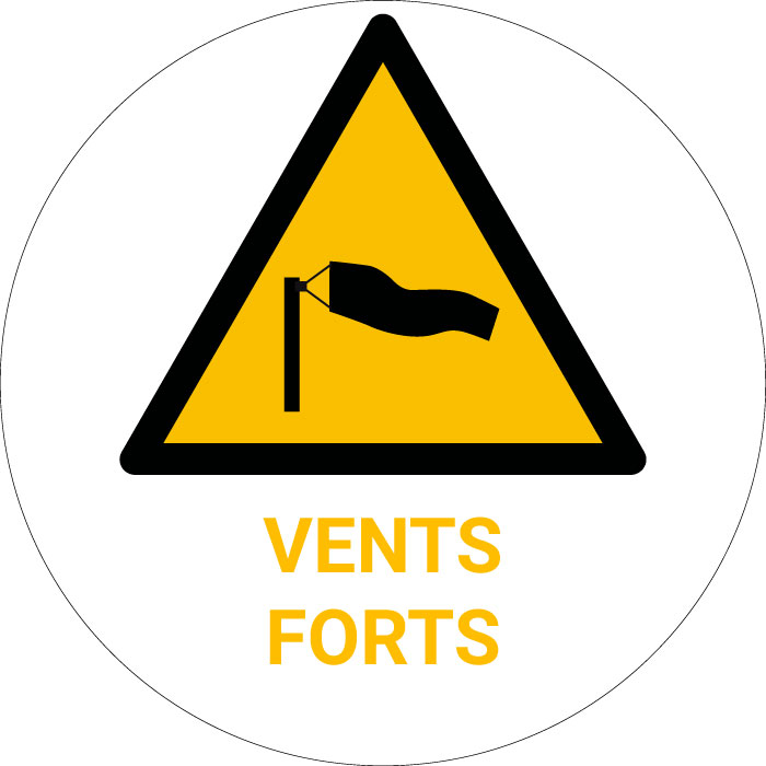 Panneau pictogramme Vents forts