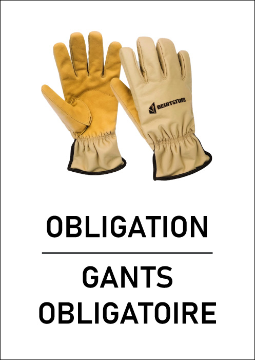 Pictogramme EPI Gants de Sécurité
