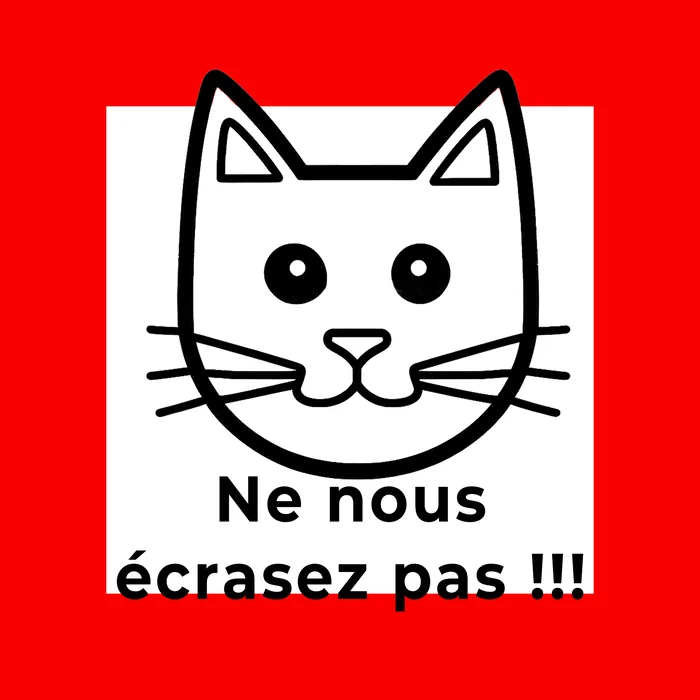 Ne nous ecrasez pas chat